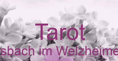 Tarot Kaisersbach im Welzheimer Wald | Top-Experten für Kartenlegen, Wahrsagen, Hellsehen, Zukunftsdeutung. Tarot Kaisersbach im Welzheimer Wald | Top-Experten für Kartenlegen, Wahrsagen, Hellsehen, Zukunftsdeutung.
